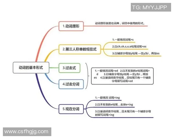 排球新手必看：轻松掌握配合技巧的全面入门指南