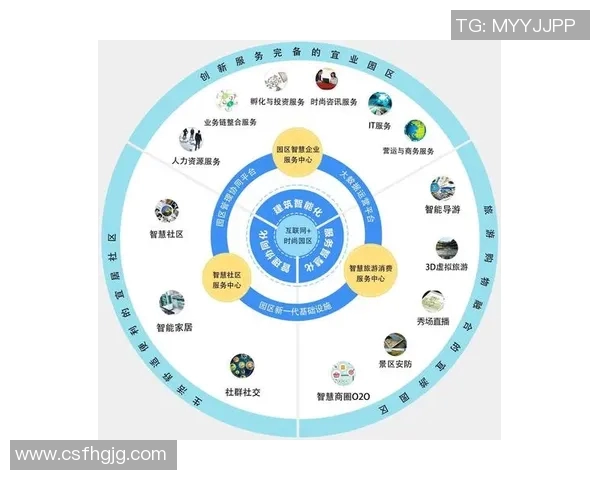 深入解析FPX战队实力表现与数据分析的背后故事