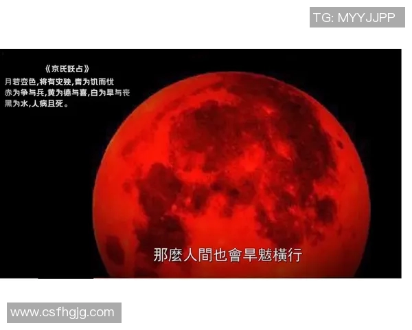 攀岩传奇陈磊专访：从初学者到顶尖高手的心路历程回顾