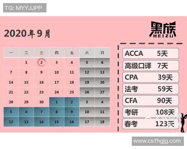 深圳乒乓球队逆袭之路的真实记录与奋斗精神的传承