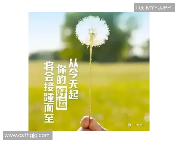 李丽的极限运动人生探索与挑战背后的深度对话与感悟