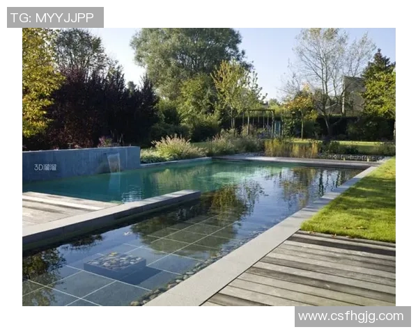 泳池周边设计灵感与实用功能的完美结合探索