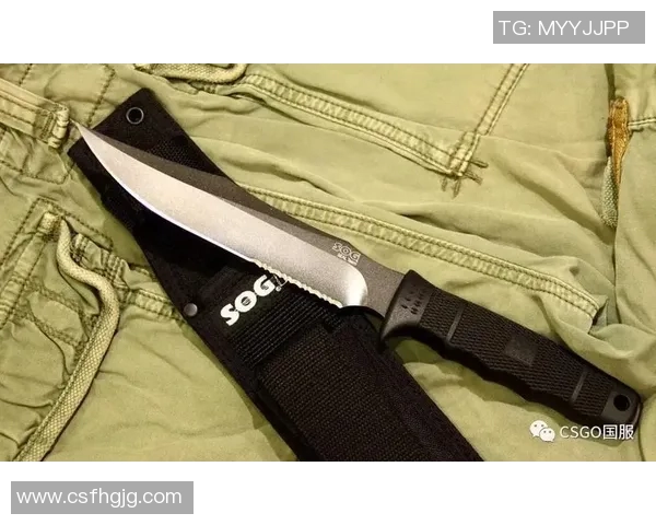 TES在CSGO中的崛起与力量分析探讨