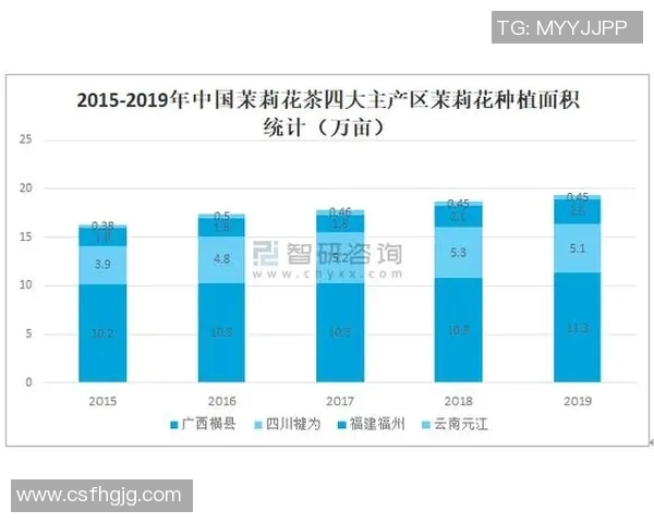 中国现役一线足球明星的崛起与未来发展趋势分析