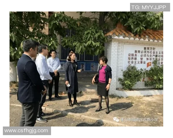 乒乓球场上的奋斗与梦想刘丽的深度对话与人生启示